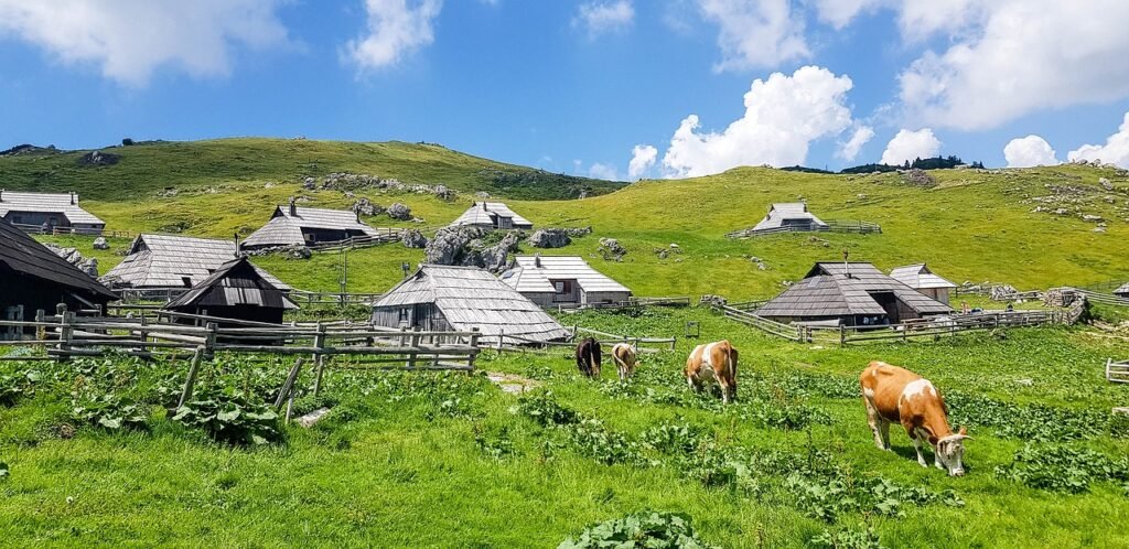 Kamnik and Velika Planina – 2 Stunning Getaways in Slovenia