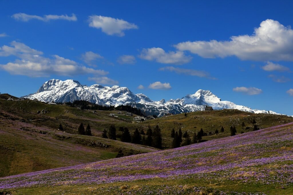 slovenia, velika, planina