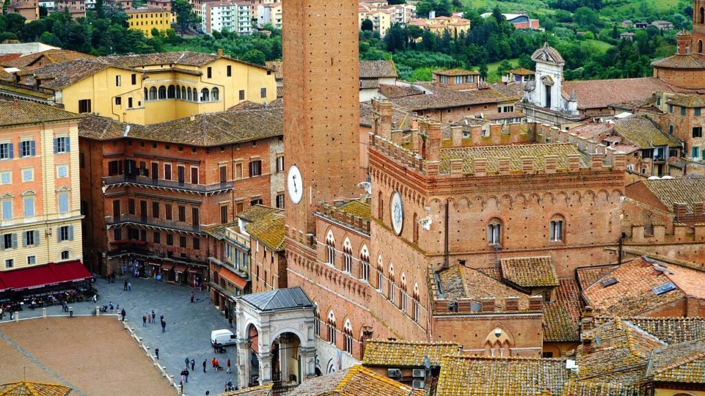 siena, campo, nature