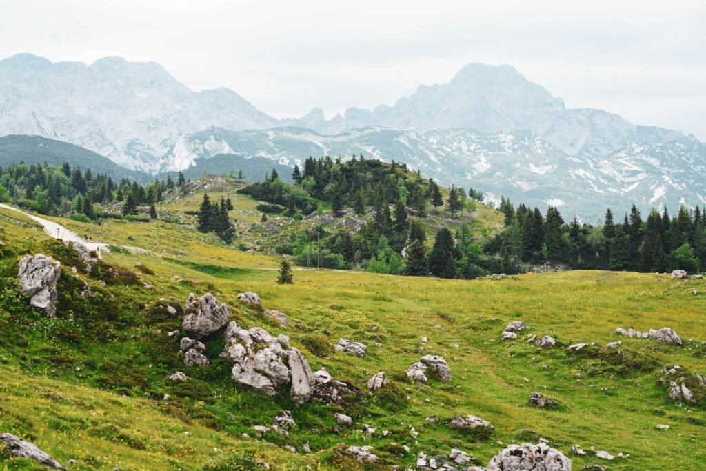 a grassy hill with trees and mountains in the background