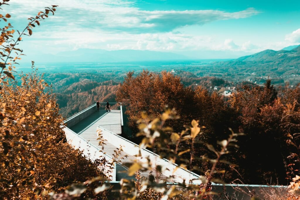 green trees and mountains under blue sky during daytime