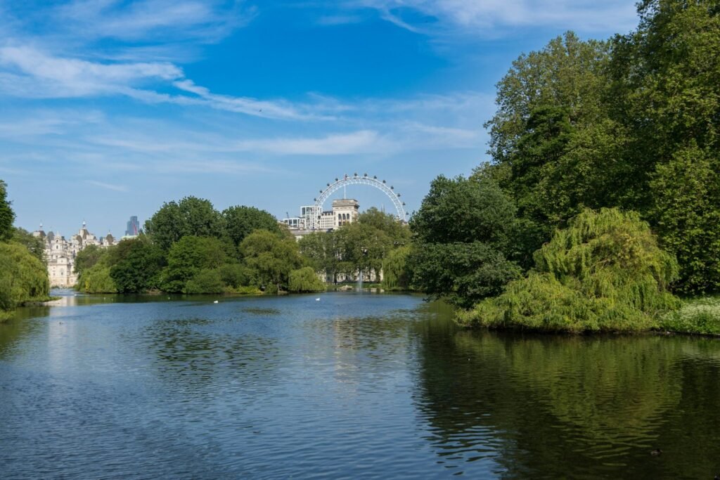 a large body of water surrounded by trees and a ferris wheel