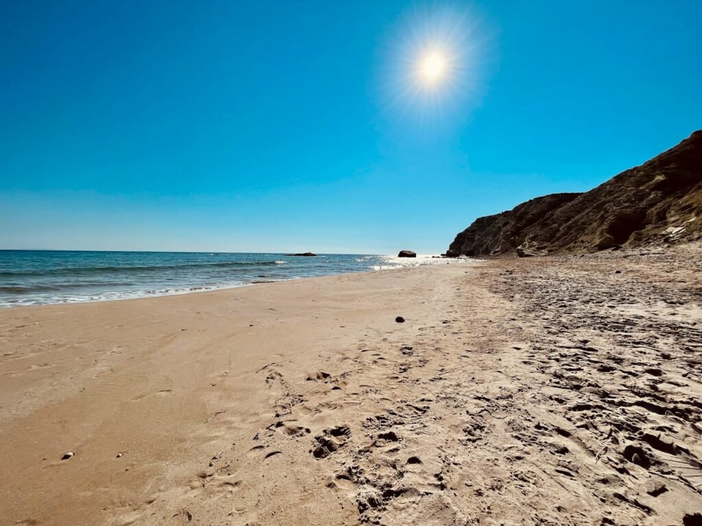 brown sand beach during daytime