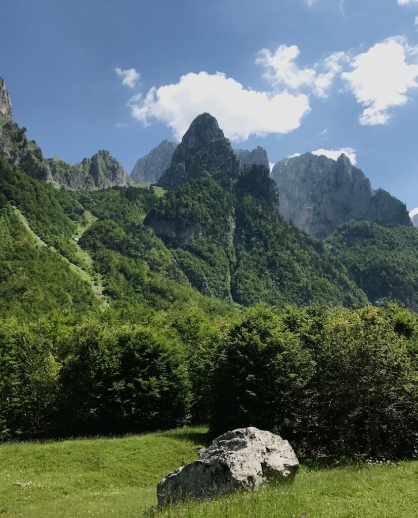 a large rock sitting in the middle of a lush green field