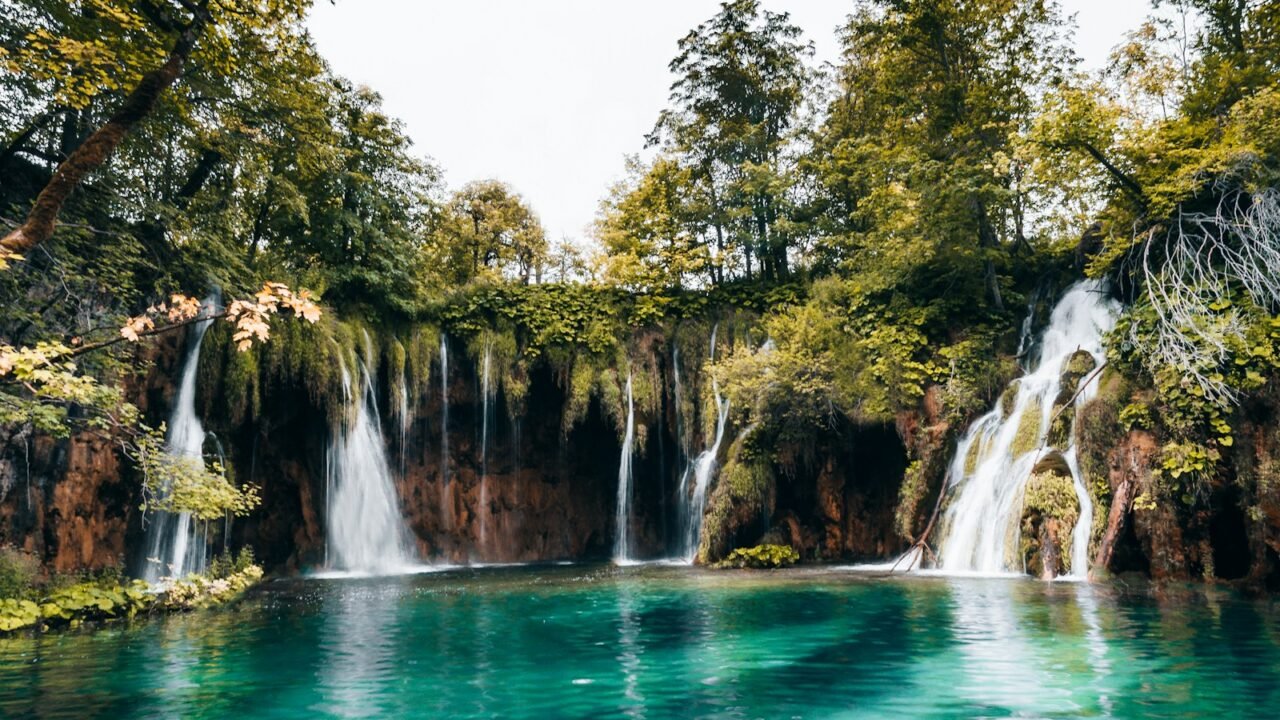 waterfalls in the middle of the forest during daytime