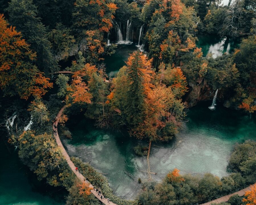 green-colored lakes