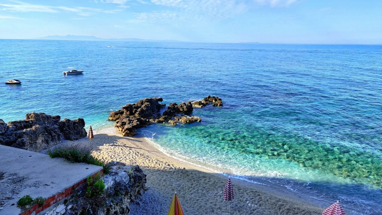 people on beach during daytime