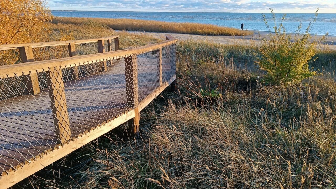 A wooden bridge over a grassy field next to a body of water